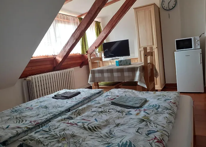 Na Zamosti 3* Malenitz